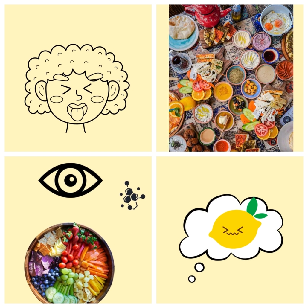 Snackbox Tipps - Aussehen